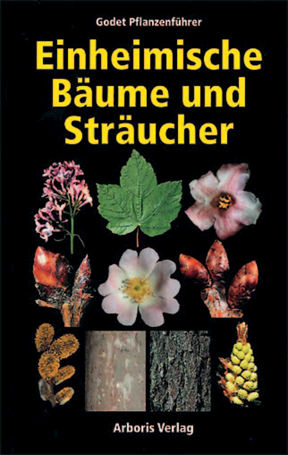 Einheimische Bäume und Sträucher