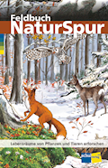 Feldbuch NaturSpur Themenbuch Lebensräume von Pfla