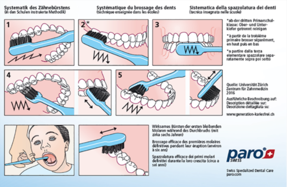 Zahnpflege Zahnputzanleitung à 24 Stück