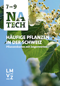 NaTech 7–9 Häufige Pflanzen in der Schweiz Pflanze