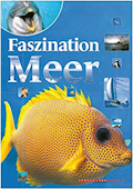 Sprachland Magazin 2.3: Faszination Meer