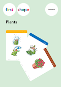 First Choice Plants Flashcards