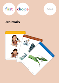 first choice Animals Flashcards